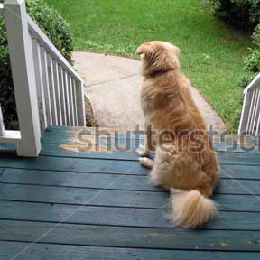 Deck Builders gallery - deck builders cleveland project 7