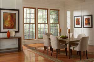 Replacement Windows gallery - vinyl replacement windows cleveland m1 thumb